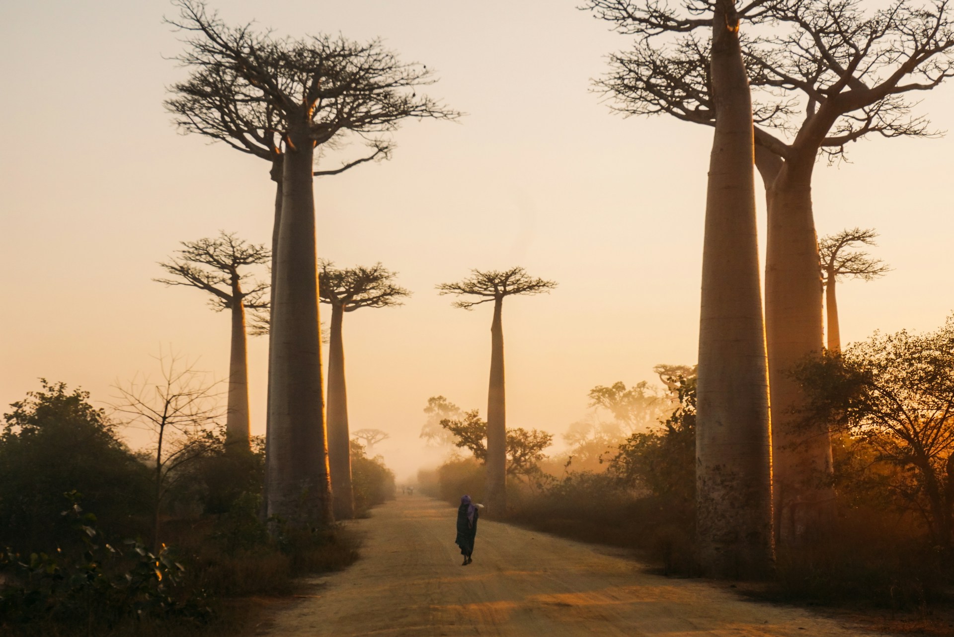 Cosas que hacer en Madagascar