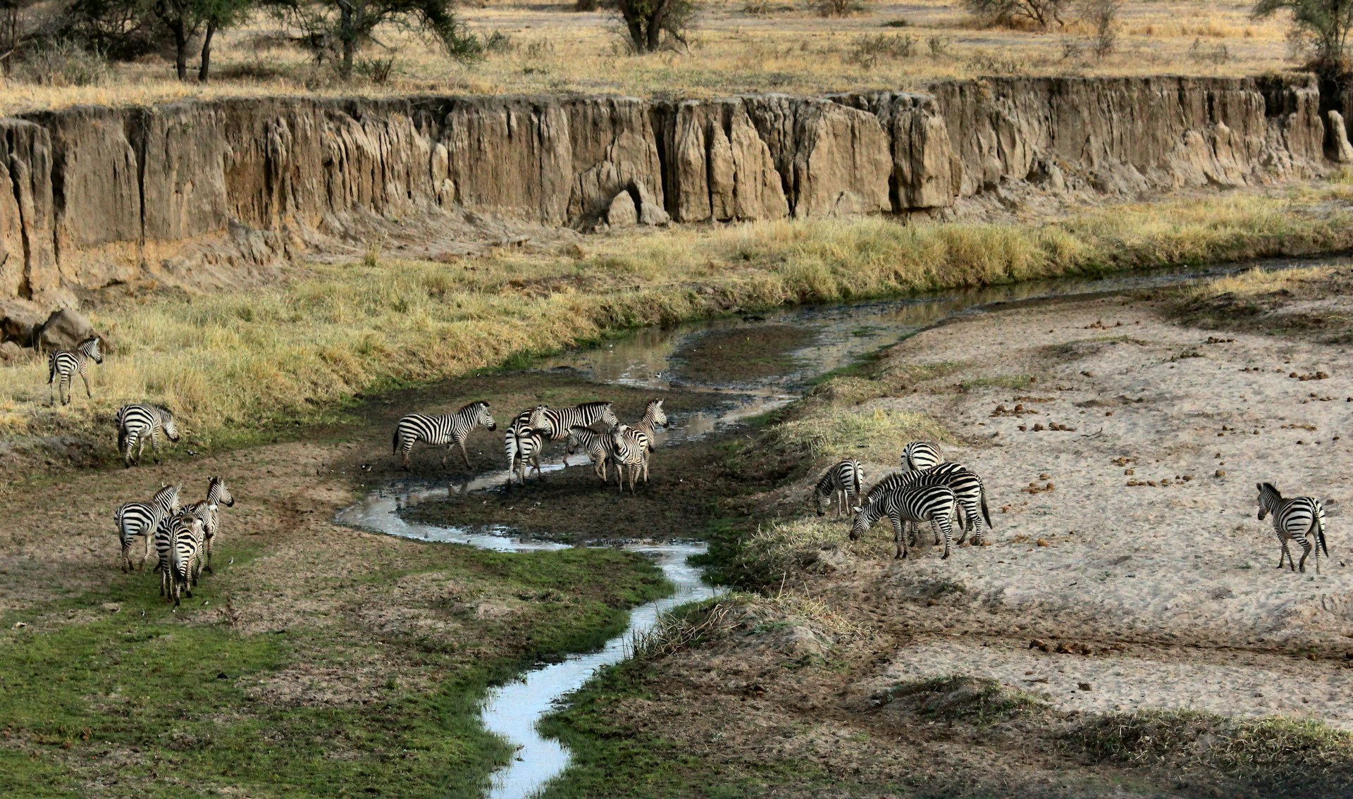 tanzania