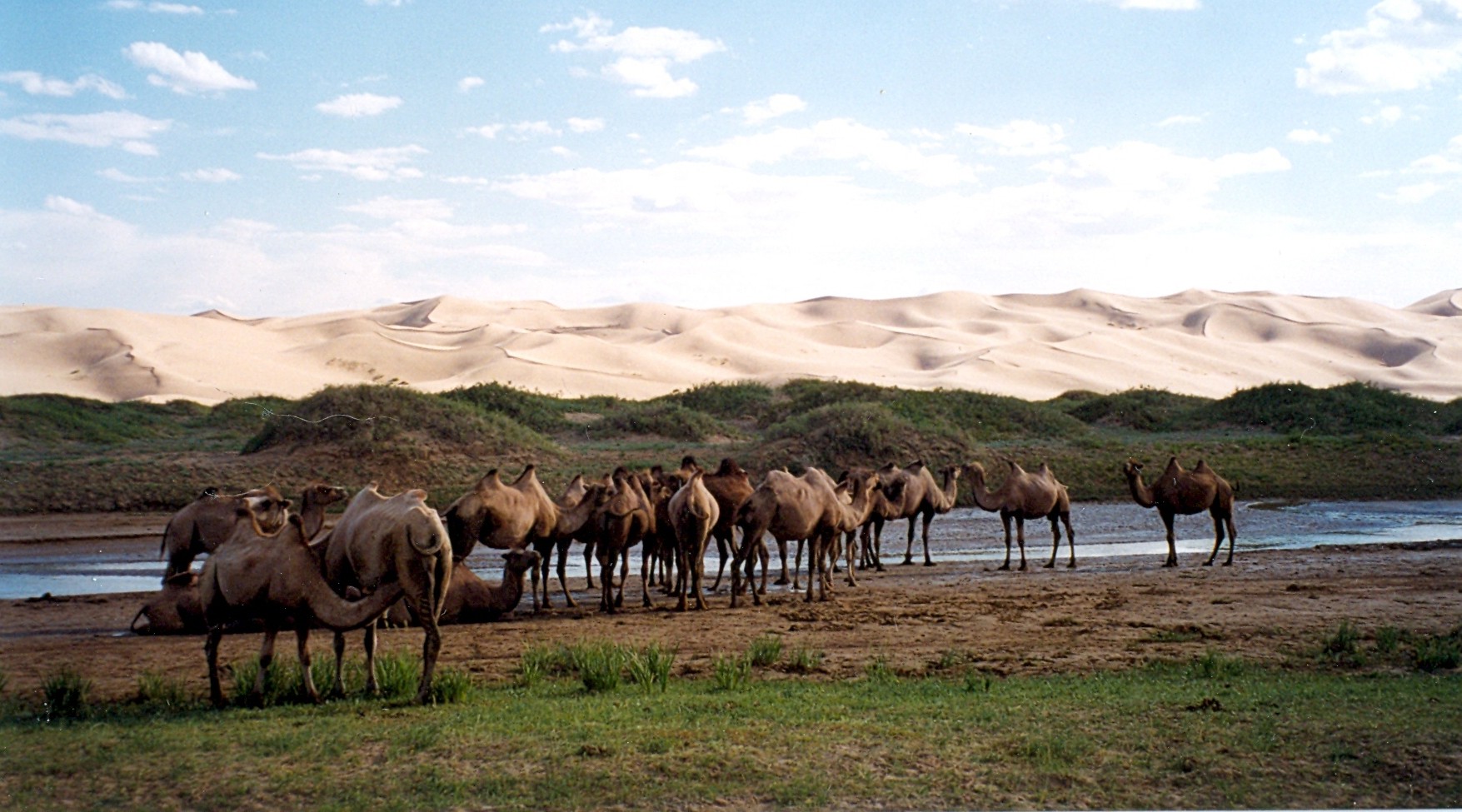 mongolia