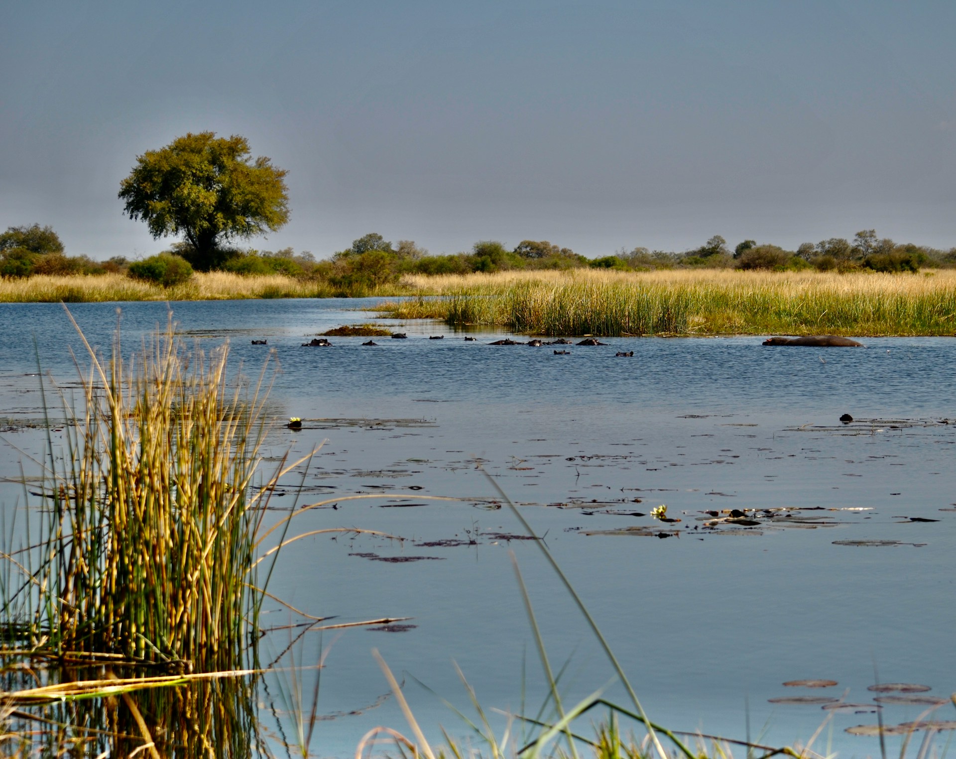 botswana