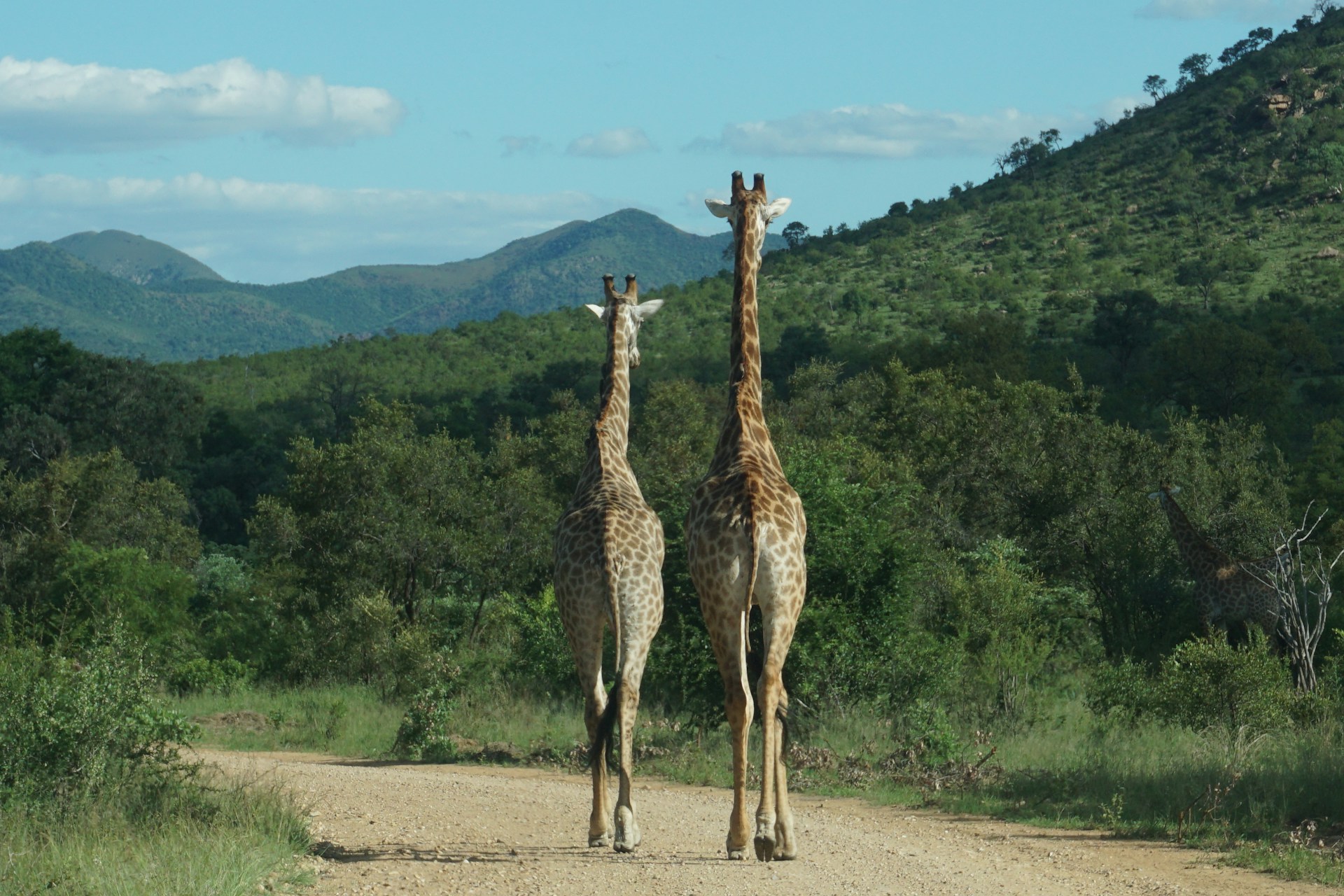 Parque Nacional Kruger