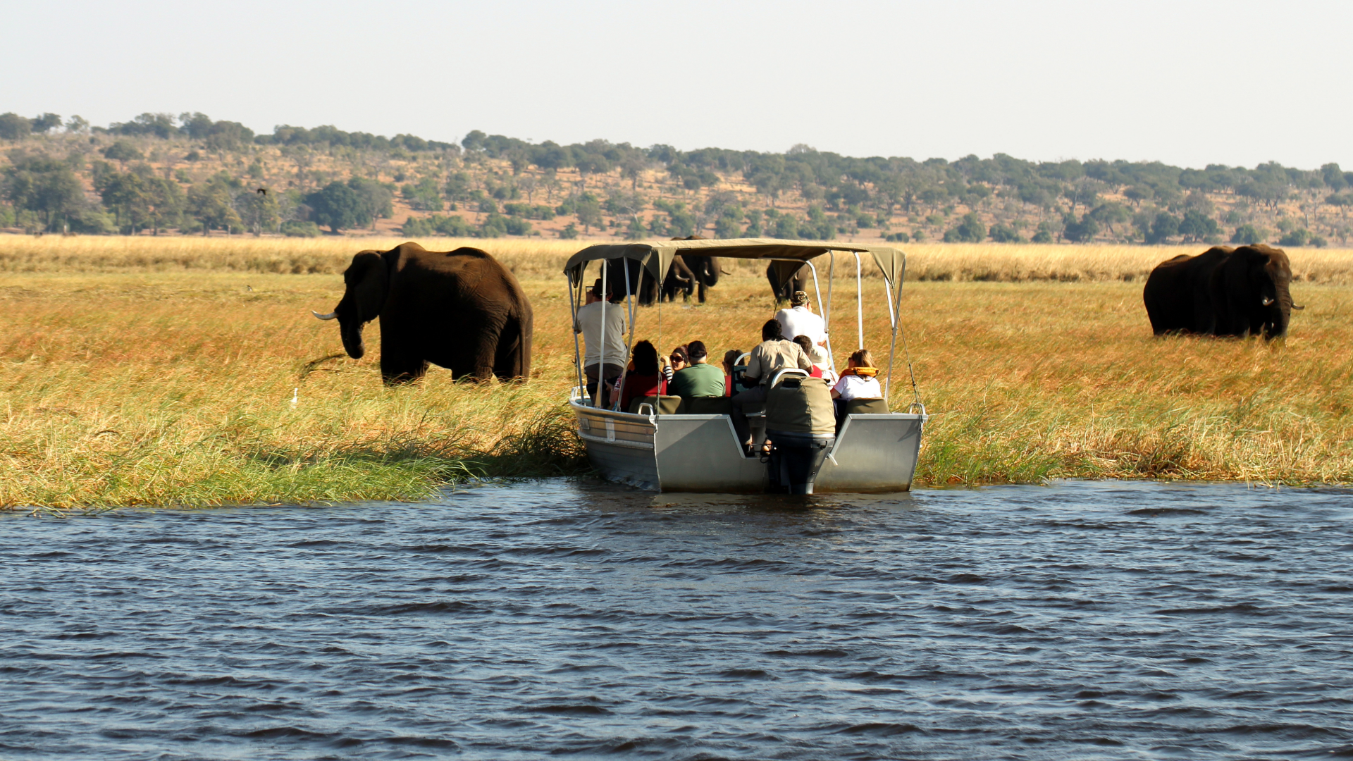 chobe_botswana