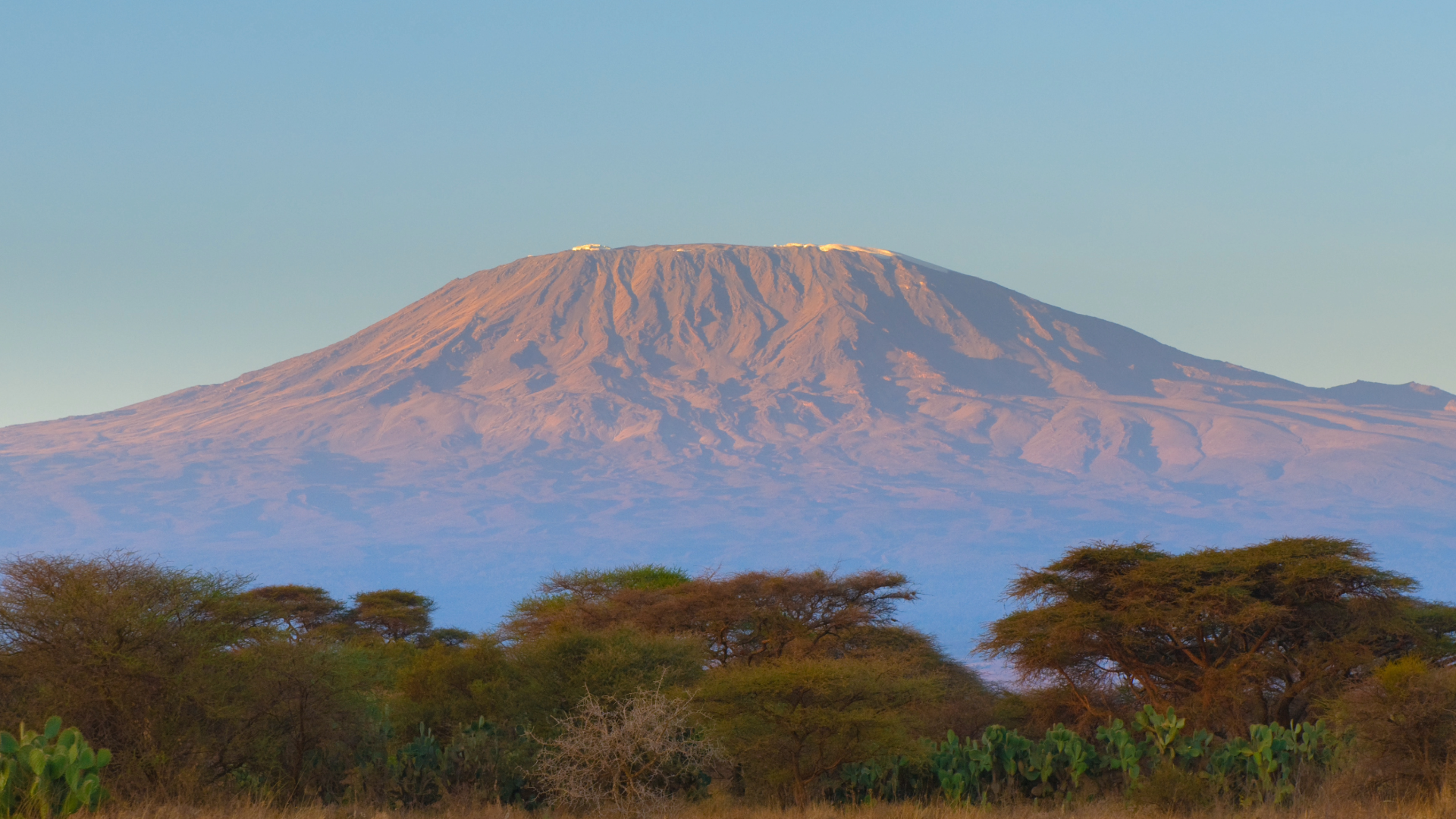 kilimanjaro 