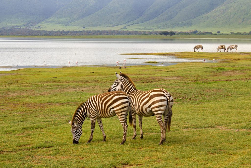 Crater Ngorongoro 