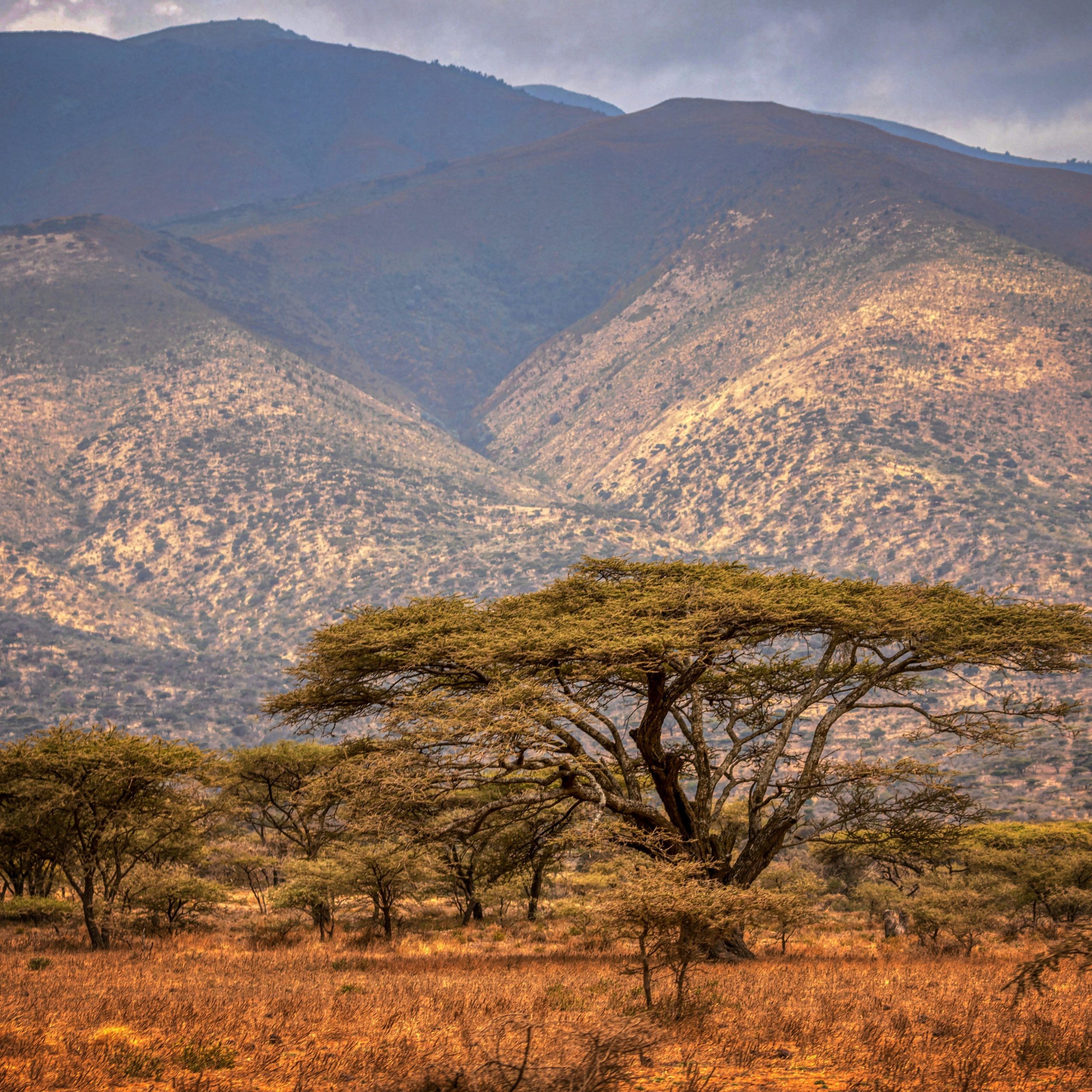 Ngorongoro_espiral