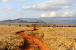 seguridad_africa