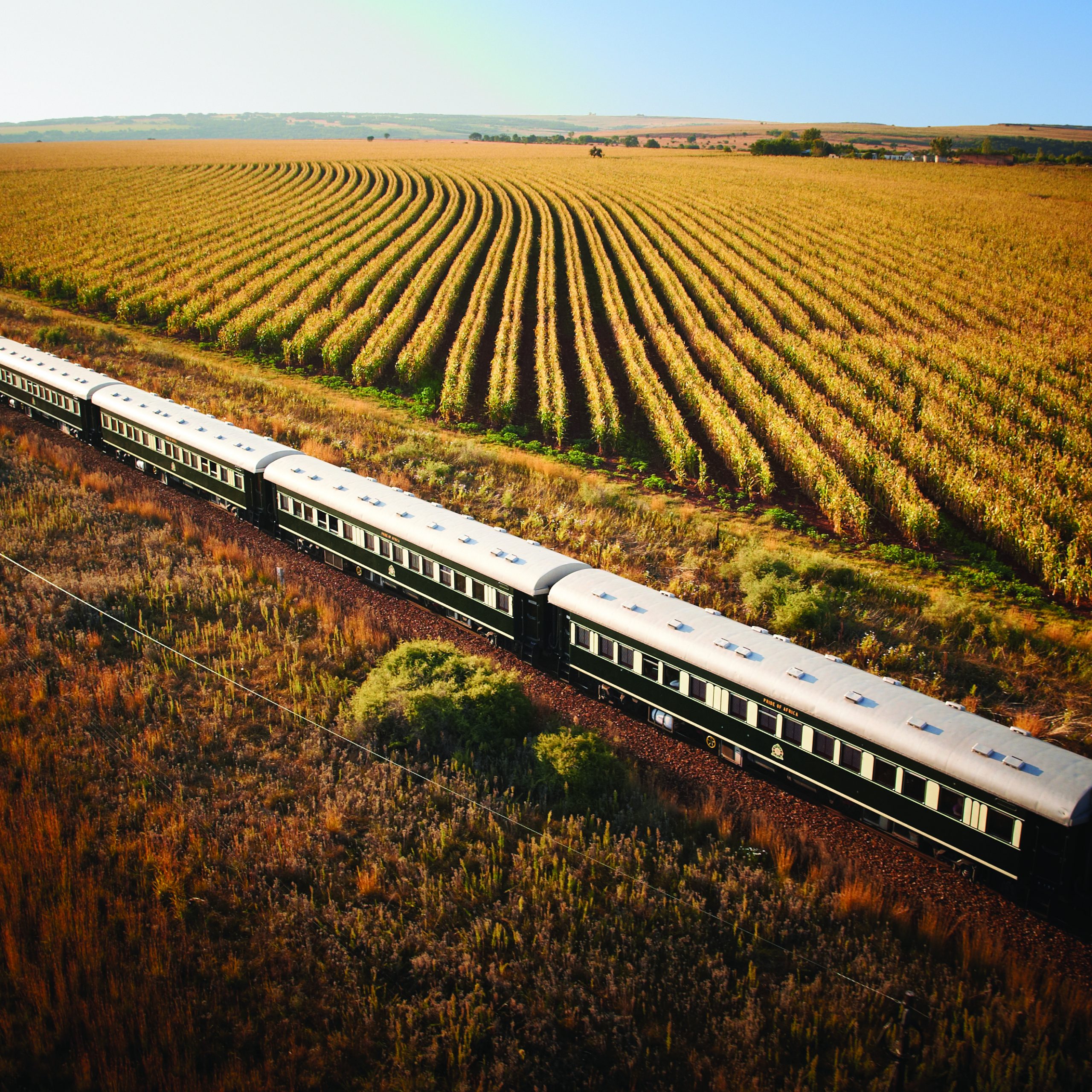 rovos_rail