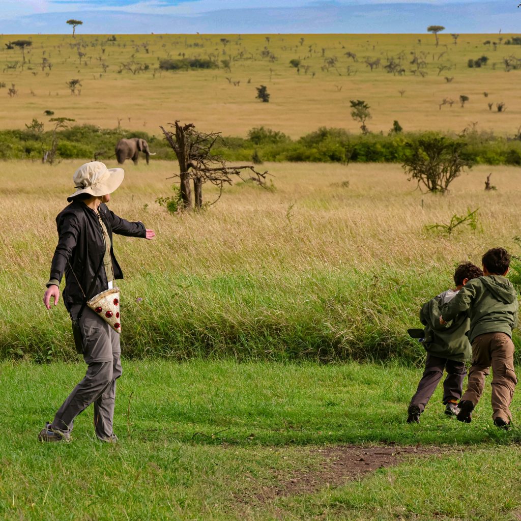 safari_niños