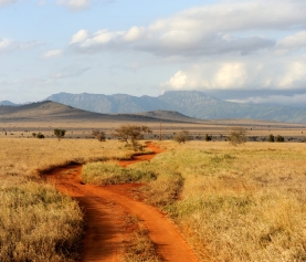 ¿Qué tan seguro es viajar por África? Una mirada experta