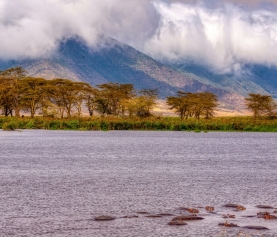Explorando el infinito en la región del Ngorongoro